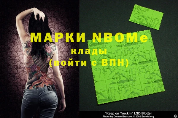 apvp Алзамай