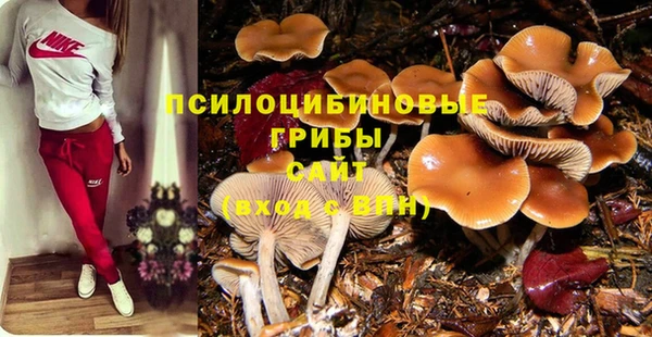 марки lsd Алексеевка