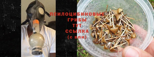 apvp Алзамай