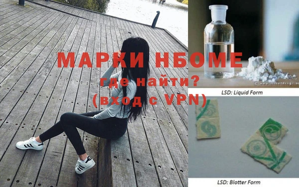 apvp Алзамай